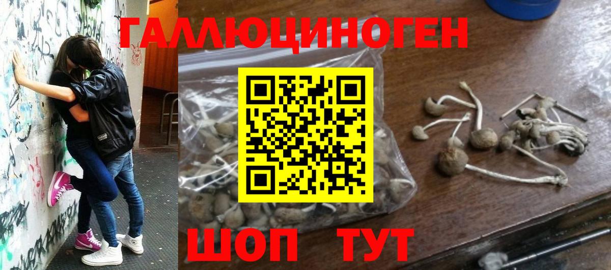 Псилоцибиновые грибы ЛСД  Вход с VPN  Менделеевск 